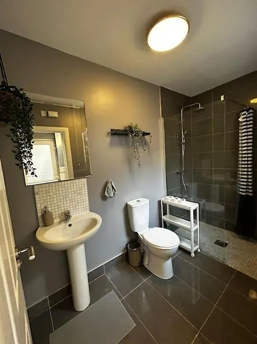Vibrant City Centre Townhouse With Free Parking Rare Outdoor Patio Belfast Holiday home